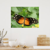 Poster Papillon long tigre (Cuisine)