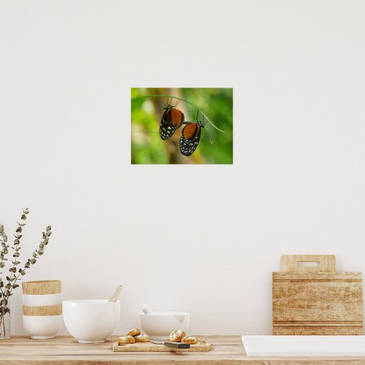 Poster Papillon long tigre (Cuisine)