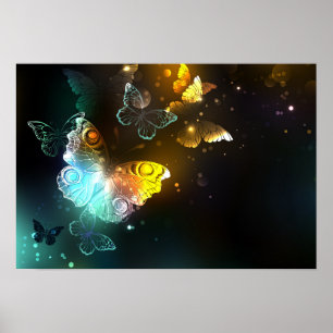 Poster Papillon lumineux et papillons de nuit