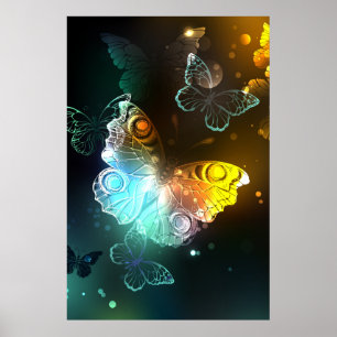 Poster Papillon lumineux et papillons de nuit