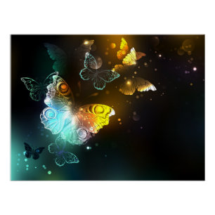 Poster Papillon lumineux et papillons de nuit