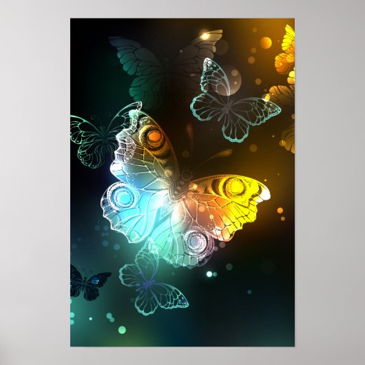 Poster Papillon lumineux et papillons de nuit (Devant)
