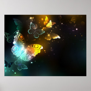 Poster Papillon lumineux et papillons de nuit