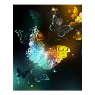 Poster Papillon lumineux et papillons de nuit