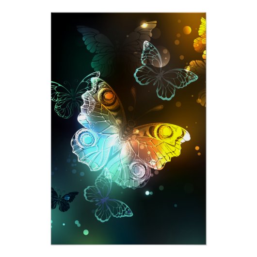 Poster Papillon lumineux et papillons de nuit (Devant)