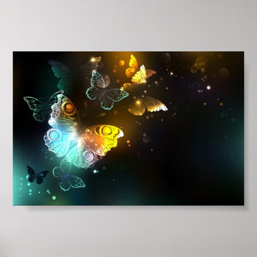 Poster Papillon lumineux et papillons de nuit (Devant)