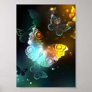 Poster Papillon lumineux et papillons de nuit