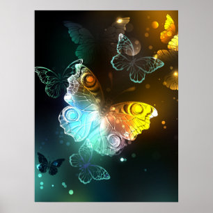 Poster Papillon lumineux et papillons de nuit