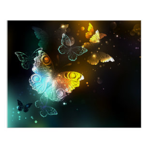 Poster Papillon lumineux et papillons de nuit