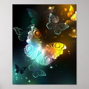 Poster Papillon lumineux et papillons de nuit