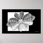 Poster Papillon Luna (Devant)