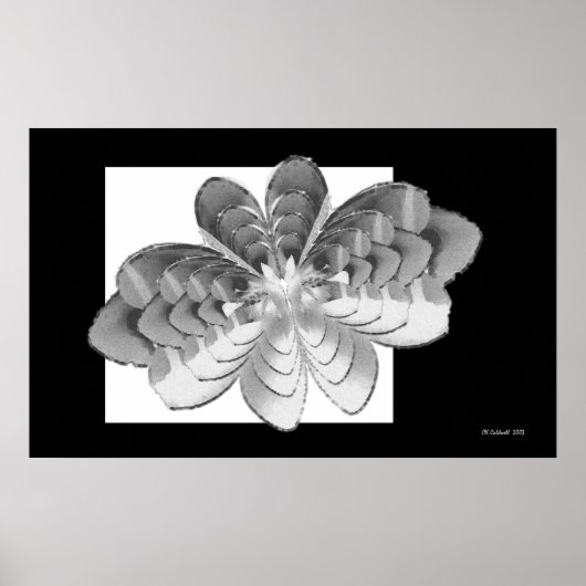 Poster Papillon Luna (Devant)