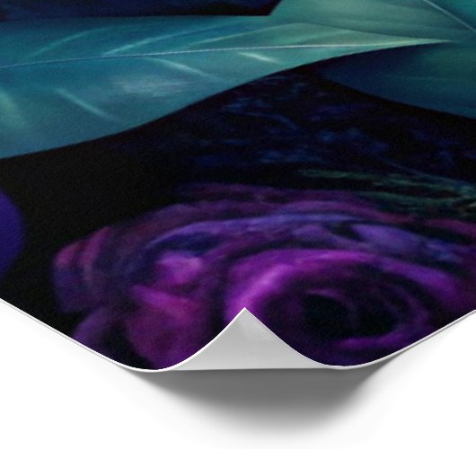 Poster Papillon Lune (Coin)