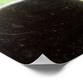 Poster Papillon lune en gros plan (Coin)