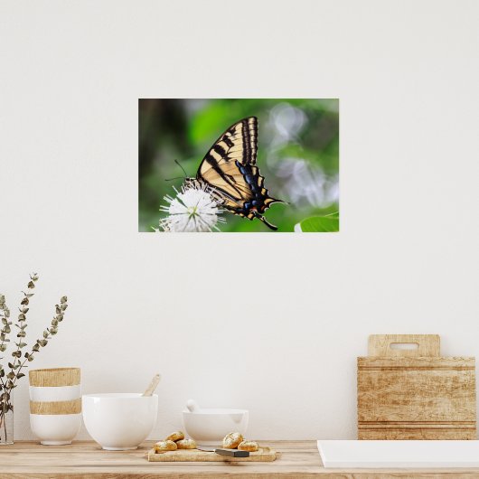 Poster Papillon Magic Wall Art (Cuisine)