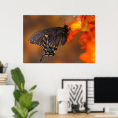 Poster Papillon monarque (Bureau à domicile)