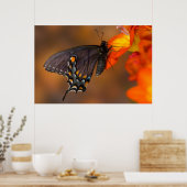 Poster Papillon monarque (Cuisine)