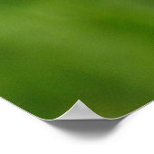 Poster Papillon monarque (Coin)