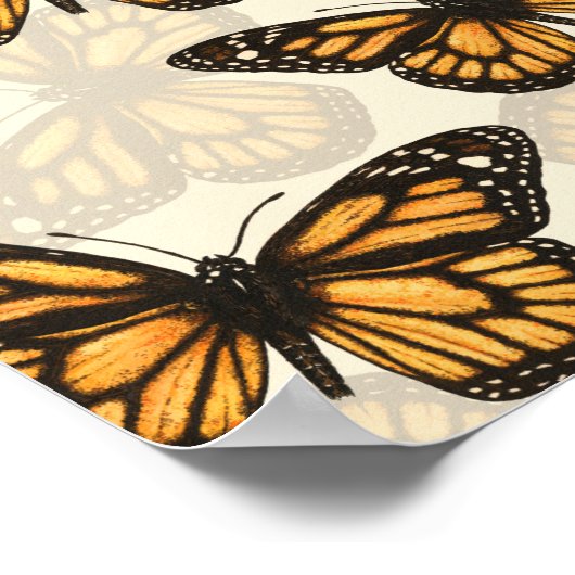 Poster Papillon monarque (Coin)