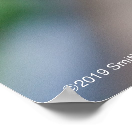 Poster Papillon monarque (Coin)