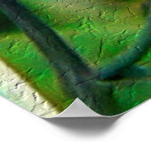 Poster Papillon monarque (Coin)