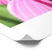 Poster Papillon Monarque 2 (Coin)