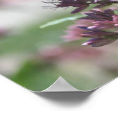 Poster Papillon Monarque_2 (Coin)