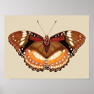 Poster Papillon Monarque en Brown, rouille et crème