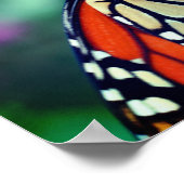 Poster Papillon Monarque En Fleur Fermer (Coin)
