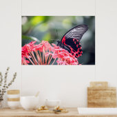 Poster Papillon monarque & Fleur (Cuisine)