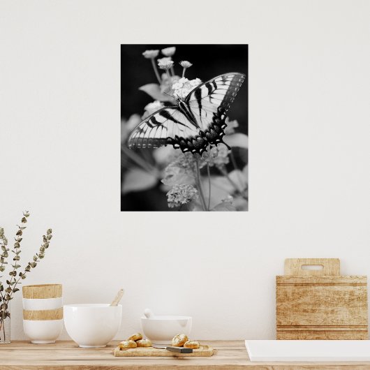 Poster Papillon Monarque noir et blanc (Cuisine)
