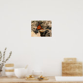 Poster Papillon monarque Posant la nature (Cuisine)