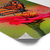 Poster Papillon Monarque sur Bright Pink Zinnia (Coin)