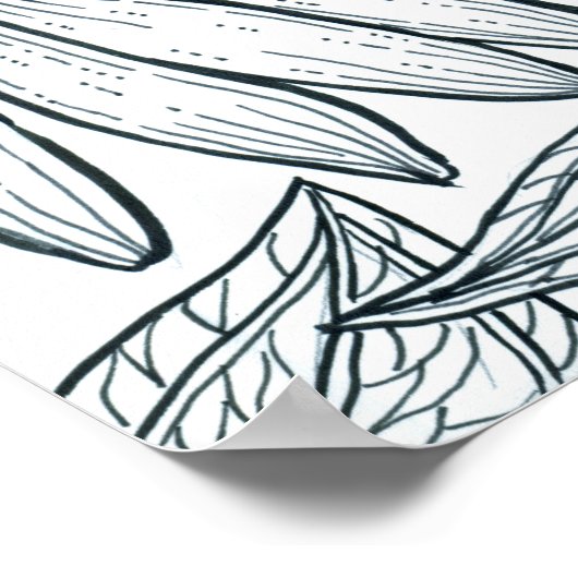 Poster Papillon monarque sur coneflowers (Coin)