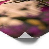 Poster Papillon Monarque sur Fleur (Coin)