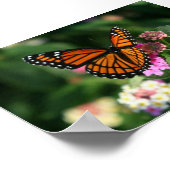 Poster Papillon Monarque sur Fleur Lantana (Coin)