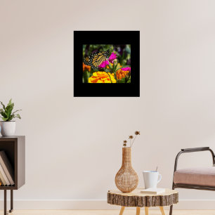 Poster Papillon Monarque sur Fleur Marigold Rose