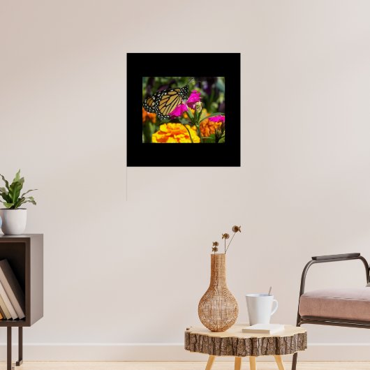 Poster Papillon Monarque sur Fleur Marigold Rose (Salon 3)