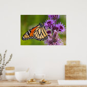 Poster Papillon monarque sur Liatris (Cuisine)