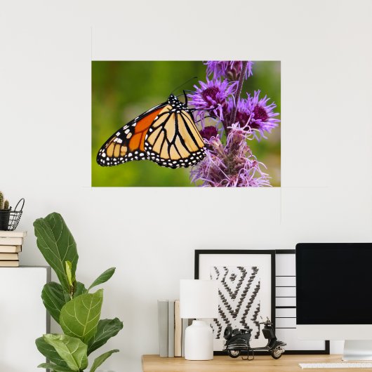 Poster Papillon monarque sur Liatris (Bureau à domicile)