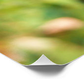 Poster Papillon Monarque sur papillon pourpre Bush (Coin)