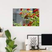 Poster Papillon Monarque sur un Buddleia Rouge (Bureau à domicile)