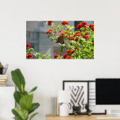 Poster Papillon Monarque sur un Buddleia Rouge (Bureau à domicile)