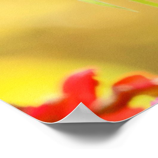 Poster Papillon Monarque sur Zinnia (Coin)