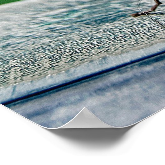 Poster Papillon morpho commun (Coin)