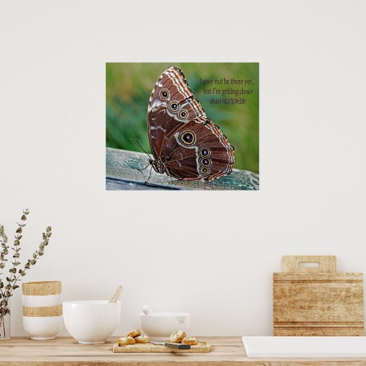 Poster Papillon morpho commun (Cuisine)
