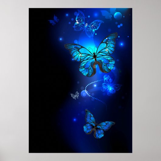 Poster Papillon Morpho sur fond sombre (Devant)