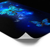 Poster Papillon Morpho sur fond sombre (Coin)