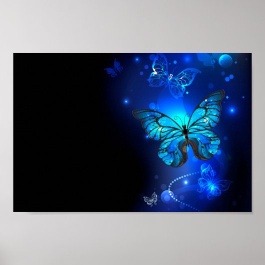 Poster Papillon Morpho sur fond sombre (Devant)