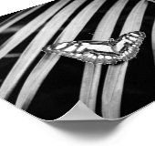 Poster Papillon Nature Insectes Noir et Blanc (Coin)
